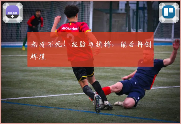 老将不死！经验与拼搏，能否再创辉煌