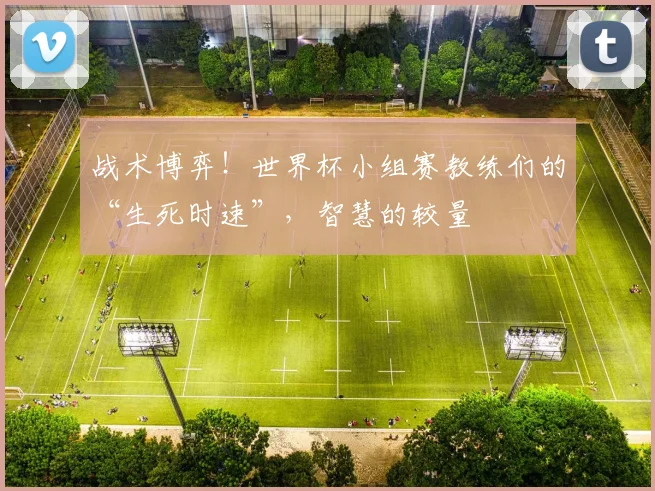 战术博弈！世界杯小组赛教练们的“生死时速”，智慧的较量